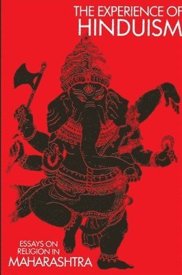 Eleanor Zelliot, Rita Maxine Berntsen - Experience of Hinduism, Häftad