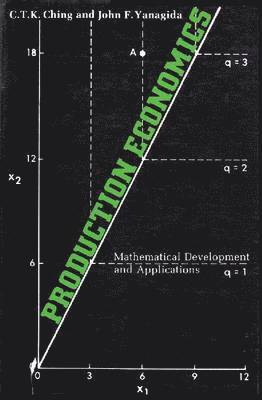 bokomslag Production Economics