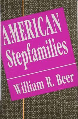 bokomslag American Stepfamilies