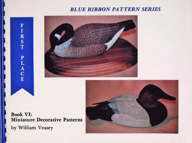 bokomslag Blue Ribbon Pattern Series