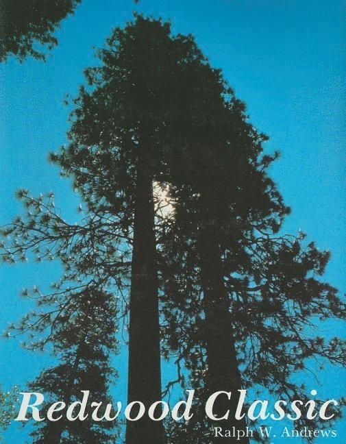 Redwood Classic 1