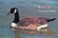 bokomslag Geese