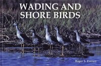 bokomslag Wading and Shore Birds