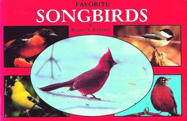 bokomslag Favorite Songbirds