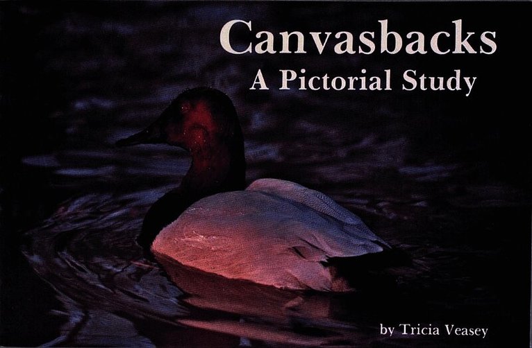 Tricia Veasey, Tricia Veasey - Canvasbacks, Häftad