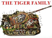bokomslag Tiger Family