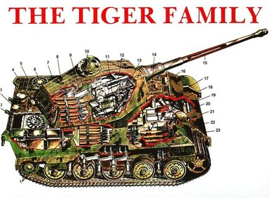 bokomslag Tiger Family