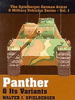 bokomslag Panther & Its Variants