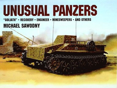 bokomslag Unusual Panzers