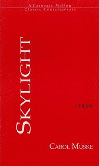 bokomslag Skylight
