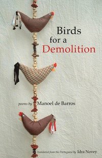 bokomslag Birds for a Demolition