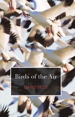 David Yezzi - Birds of the Air, Häftad