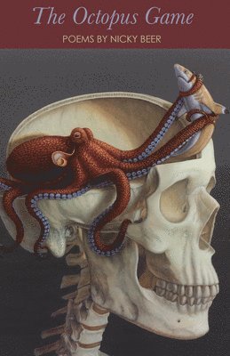 Octopus Game 1