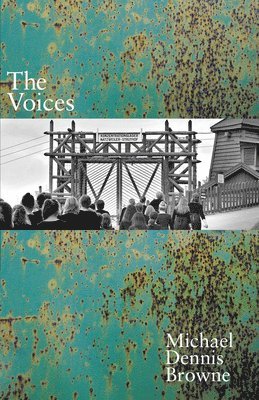 bokomslag Voices