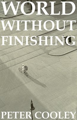 World Without Finishing 1
