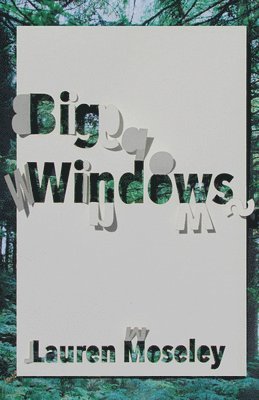Big Windows