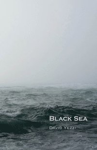 bokomslag Black Sea