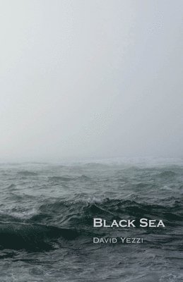 bokomslag Black Sea