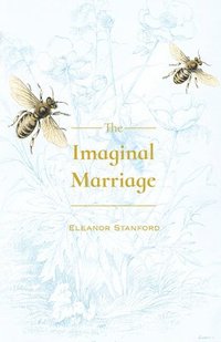bokomslag Imaginal Marriage