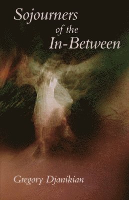 bokomslag Sojourners of the In-Between