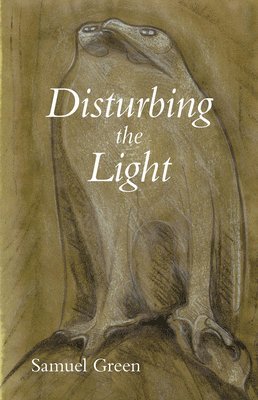 Disturbing the Light 1