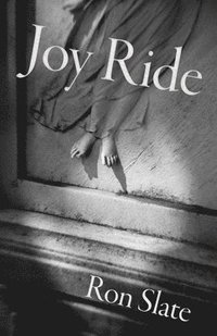 bokomslag Joy Ride