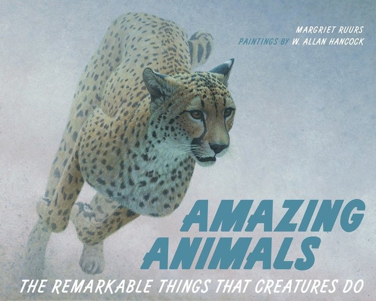 Margriet Ruurs - Amazing Animals, Inbunden