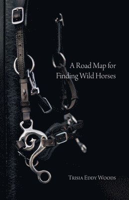 bokomslag A Road Map for Finding Wild Horses