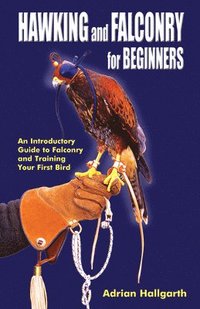 bokomslag Hawking & Falconry for Beginners