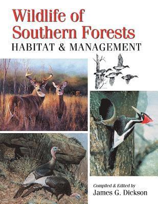 Wildlife of Southern Forests