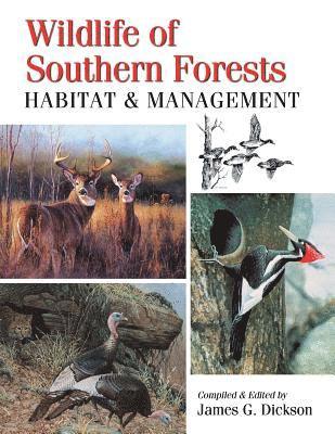 Wildlife of Southern Forests 1