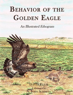 Behavior of the Golden Eagle 1