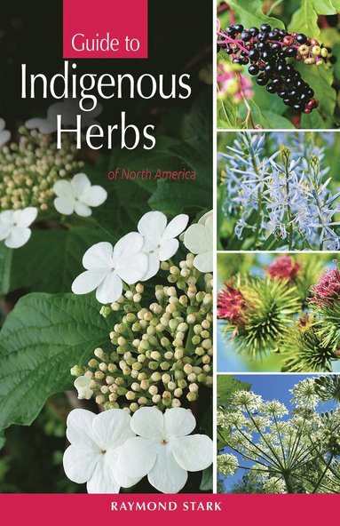 bokomslag Guide to Indigenous Herbs