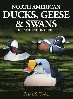 North American Ducks, Geese and Swans 1