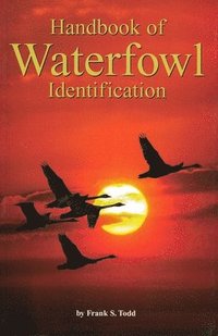 bokomslag Handbook of Waterfowl Identification