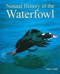 bokomslag Natural History of the Waterfowl