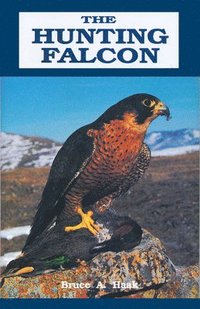 bokomslag The Hunting Falcon
