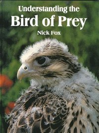 bokomslag Understanding the Bird of Prey