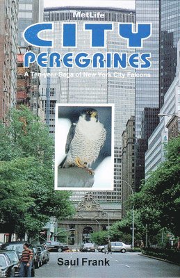 Saul Frank - City Peregrines, Inbunden