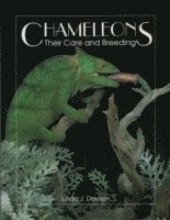 bokomslag Chameleons