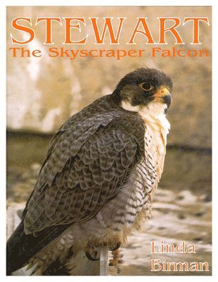 Stewart 1