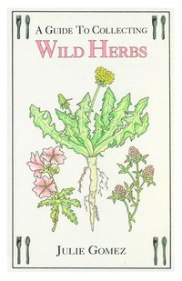 bokomslag Guide to Collecting Wild Herbs
