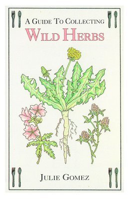 Guide to Collecting Wild Herbs 1