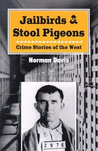 bokomslag Jailbirds and Stool Pigeons