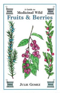 bokomslag Guide to Medicinal Wild Fruits & Berries