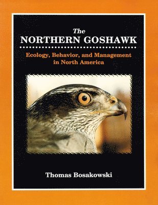 bokomslag Northern Goshawk **Direct Only