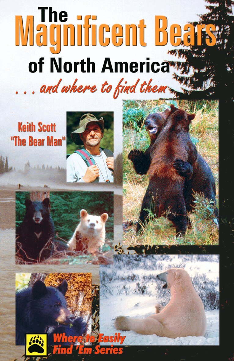 Keith Scott - Magnificent Bears of North America, Häftad