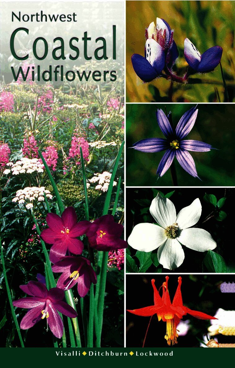 Northwest Coastal Wildflowers