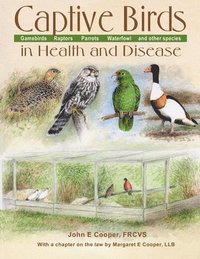 bokomslag Captive Birds in Health and Disease
