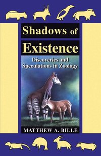 bokomslag Shadows of Existence